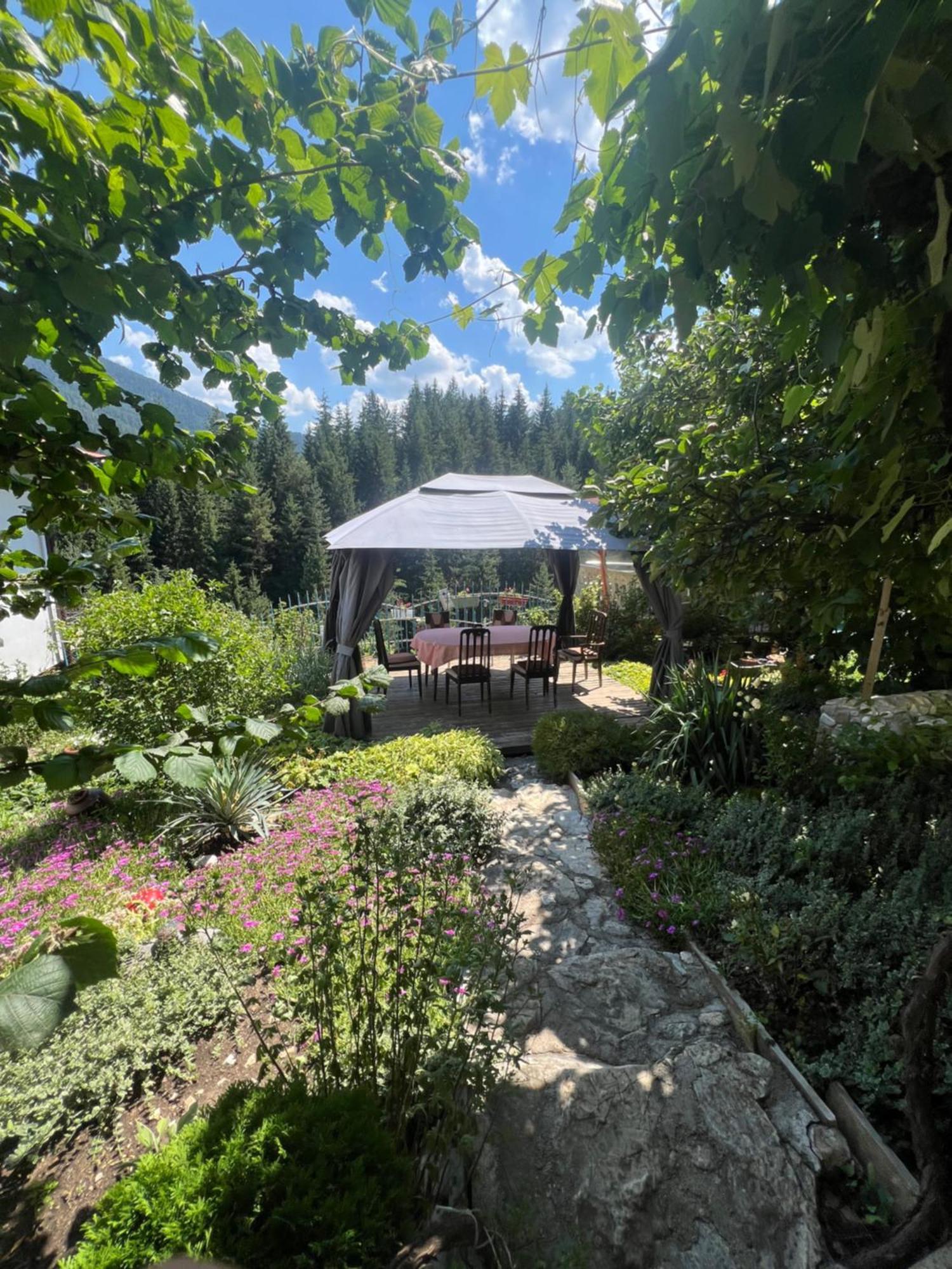 Guest House Milka Yagodina Exterior photo