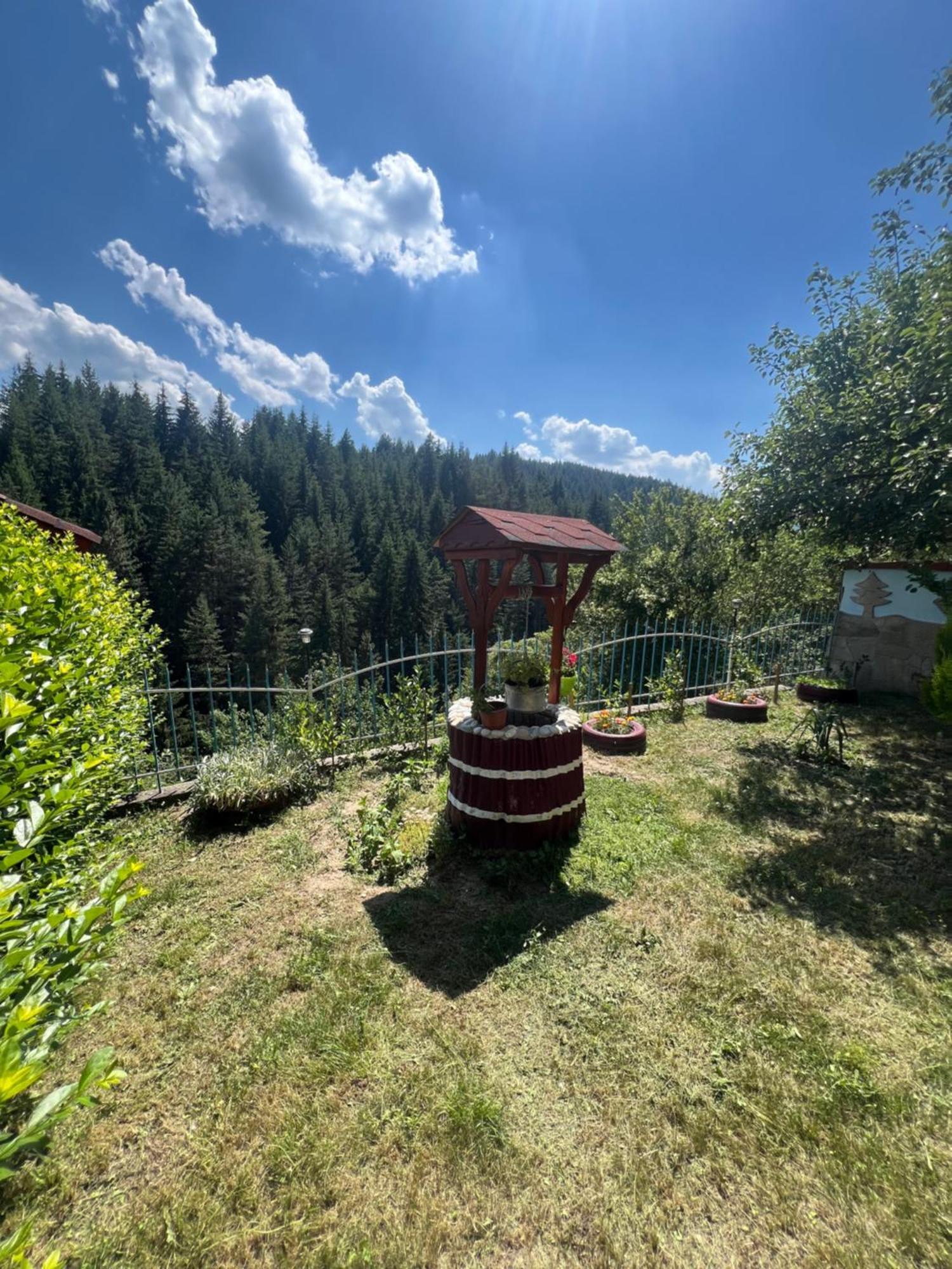 Guest House Milka Yagodina Exterior photo